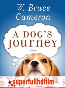 Dostumun Yolculuğu – A Dog’s Journey izle