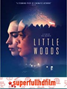 Little Woods Türkçe Dublaj izle (2019)