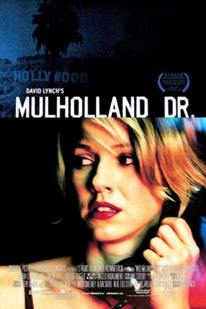 Mulholland Çıkmazı Full izle (2001)