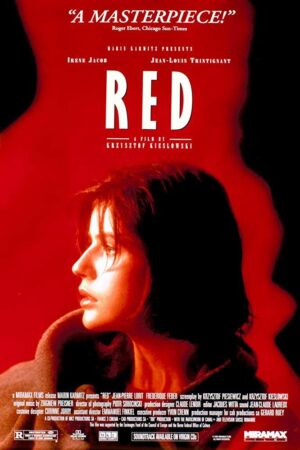 Üç Renk Kırmızı Türkçe Dublaj izle (1994)