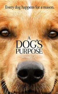 Can Dostum – A Dog’s Purpose izle