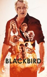 Black Bird film izle