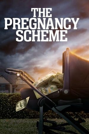 The Pregnancy Scheme film izle