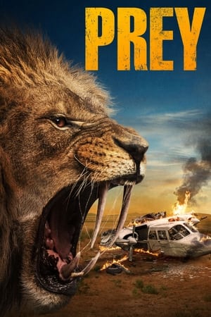 Prey film izle