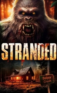 Stranded film izle