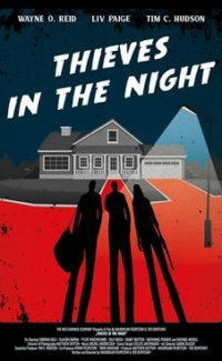 Thieves in the Night film izle