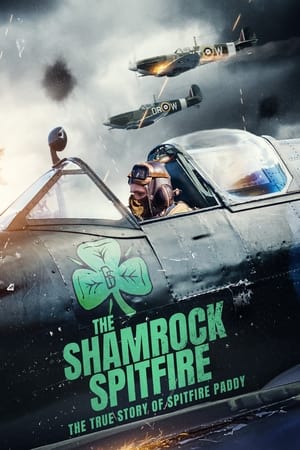 The Shamrock Spitfire film izle