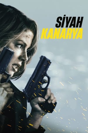 Siyah Kanarya film izle