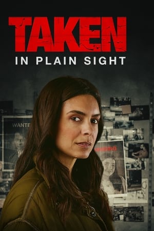 Taken in Plain Sight film izle