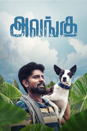 Alangu film izle